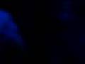 Moster-Massive-2007