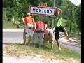 moncul moncul