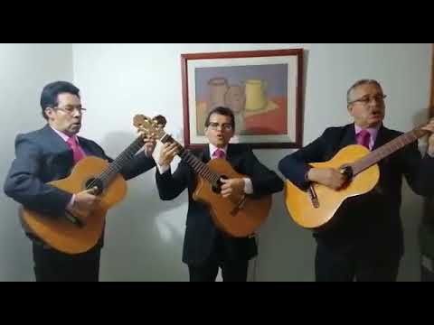 Video de la agrupación Arrullo Trio