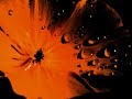 psy trance music  frequency deluxe  big game hunting