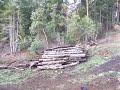 View of lower end of property and future orchard.AVI