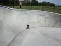videos de In the bowl