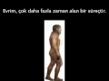 Evrim Teorisi: Geçiş Formları