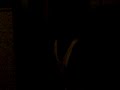 KHALIL VIDEO HAHAHA