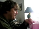 Les and Hercules the Budgie Les and Hercules the Budgie