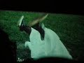 le clip de la chanson 