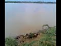 Narmada river from Eklara village on the river shoreline Narmada river from Eklara village on the river shoreline