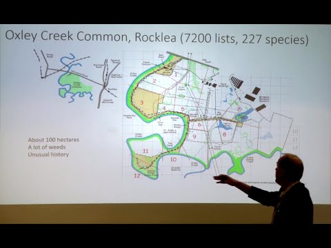 <p>What happens to the birds when Oxley Creek Common floods?</p>
 video thumbnail