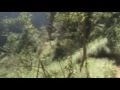 Foto v�deo