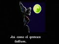 lord of the rings vol  2 intro  spanish 