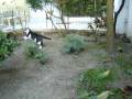 videos de Teca & Freddy