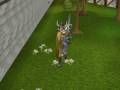 videos de Organdonors skill capes,bandos boss and sper high hit
