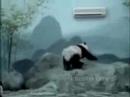 ?mieszne reklamy49 - trane panda wymienia filtr