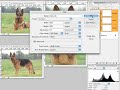 photoshop livelli di regolazione 4