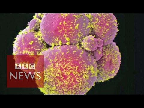 Most cancers caused by “bad luck” in cell division and “poor repair” of the defect Most cancers caused by “bad luck” in cell division and “poor repair” of the defect