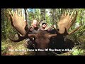 Wild Kakwa Outfitters Rut Moose Hunts