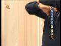 中國武術詠春之小念頭系列三