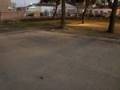 360 bunny