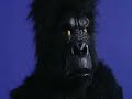 Only an Excuse 2007 - Cadbury's Gorilla Spoof
