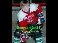 NHL Hockey Fights