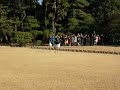 Releasing Crane Releasing Crane