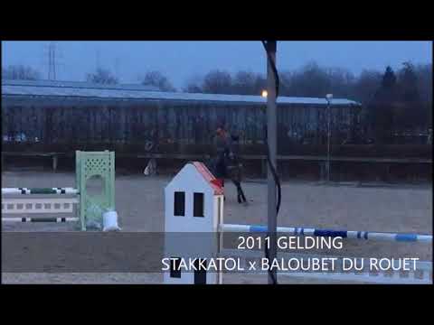 VOLO'S DIAMOND 1M20 TRAINING SHOW TERNAT MARCH 2018