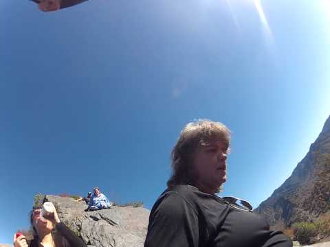 grand national results