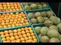PRIMER CARGAMENTO ECUATORIANO A MANAOS