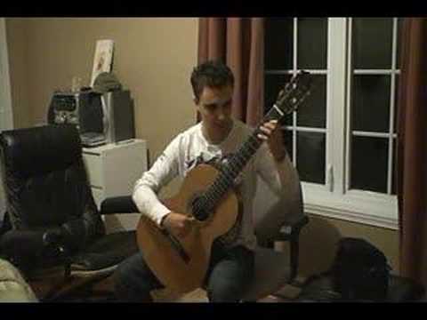 Miodrag Zerdoner: Bach's BWV 1005, Allegro assai