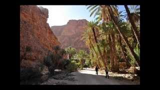 Ahwache N Ait Tahala Tafraoute 2014