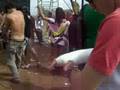 Assistir ao v�deo