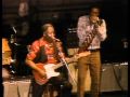 Muddy Waters - I'm A King Bee - ChicagoFest 19