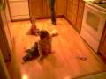 videos de S7300862.AVI