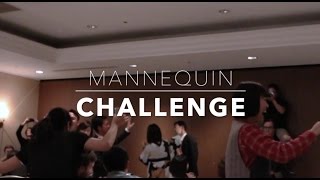 Freecom Mannequin Challenge