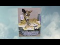 See Video