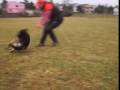 videos de Inez z Dymače