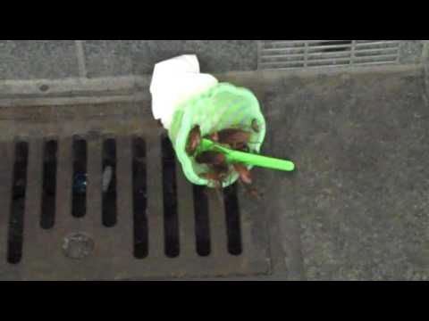 See video