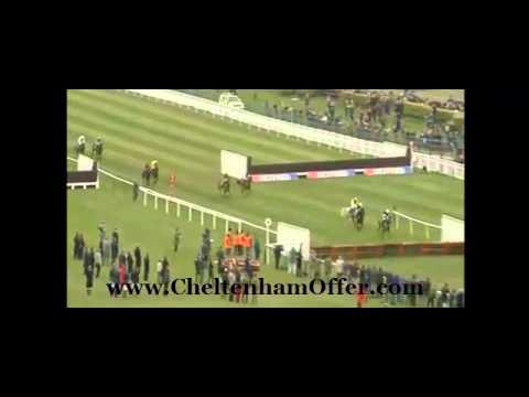 cheltenham festival