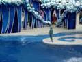 Dophin Show at Sea World - Orlando, Florida