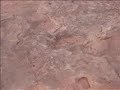 ????? ?????????? ? ????? ??????? (dinousaur tracks)