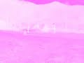 real-alien-el-chupacabras-new-nuevo-ufos.html