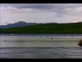 NATURE!!!.wmv