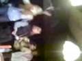 videos de Nordseeküste in Abbensen