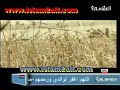 el iffassi kabre el habibe el iffassi kabre el habibe