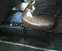 Brendon crawling under the seats on the bus... (part one)