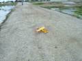 videos de Petame aeroplanaki mazi me ton filo moy ton Argyrh