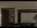 CAMERINOS LAS PULGAS INVASORA