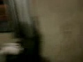 Fazend M d Madrugada