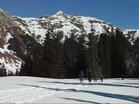 Video A zonzo intorno a Cima Nives