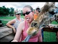 At the Zoo - Simon and Garfunkel